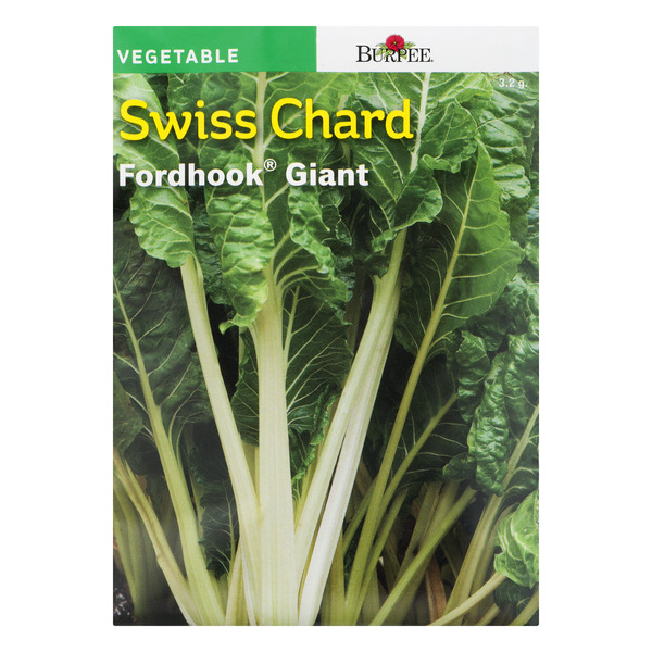 Burpee Vegetable Swiss Chard Fordhook Giant
