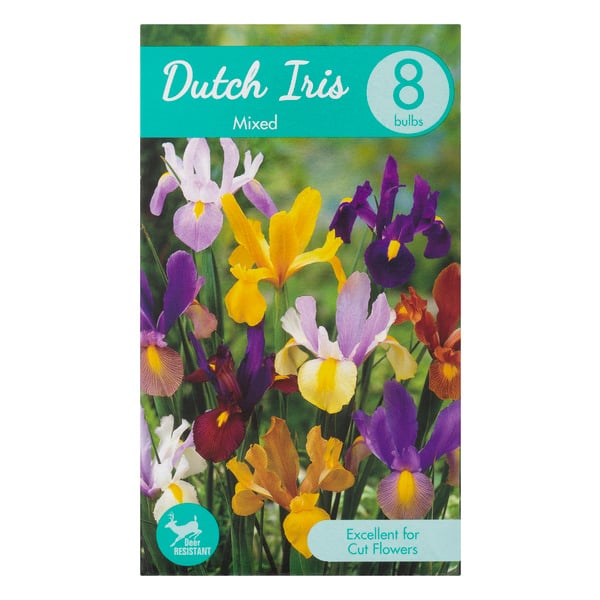 Garden State Bulb Company Dutch Iris Mixed
