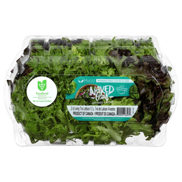 Mucci Farms Naked Leaf Living Trio Lettuce - 2 ct