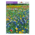 Burpee Perennial Mix Wildflower