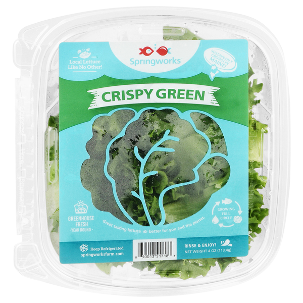 Springworks Crispy Green Lettuce