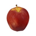 Organic Gala Apples