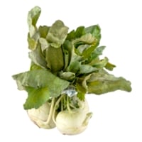 Kohlrabi