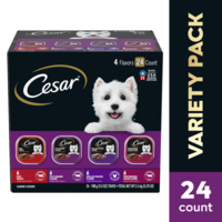 CESAR Classic Loaf in Sauce Variety Pack Adult Wet Dog Food - 24 ct