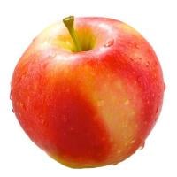 Autumn Glory Apples