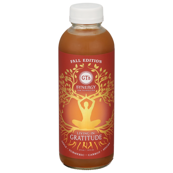 GT's Synergy Living in Gratitude Fall Edition Raw Kombucha