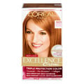 L'Oreal Excellence Creme Permanent Hair Color Reddish Blonde 8RB