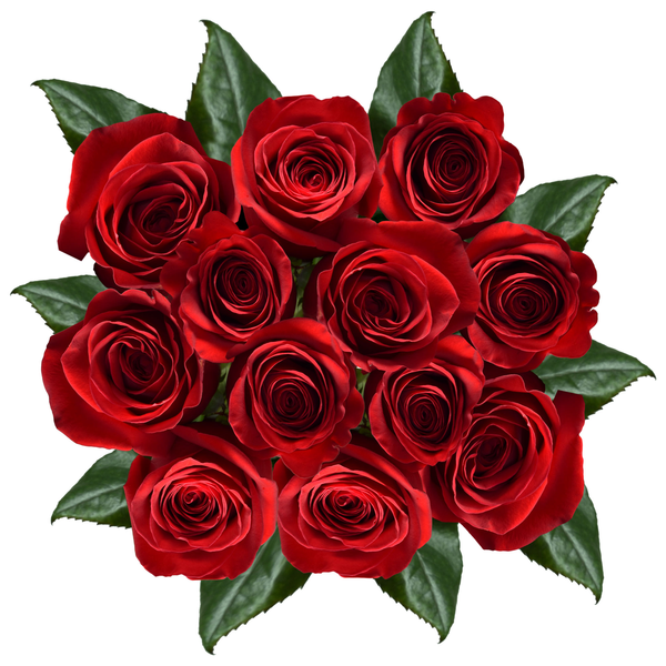 Giant Red Roses Bunch