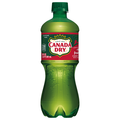 Canada Dry Caffeine Free Fruit Splash Cherry Ginger Ale Soda