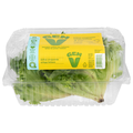 Gen V Crispy Lettuce