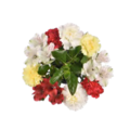 Giant Color Collection Coastal Vibe Alstroemeria Carnations Bunch