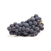 Thomcord Grape Jammers
