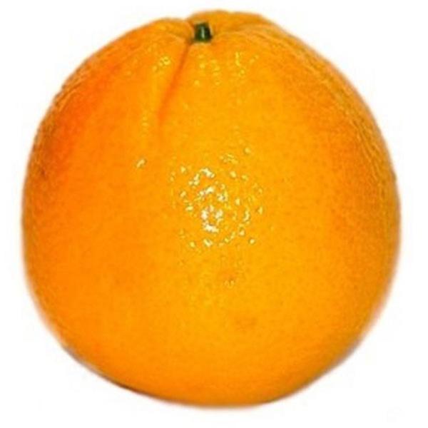 Save on Oranges Valencia Order Online Delivery Food Lion