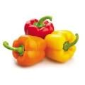 Rainbow Bell Peppers