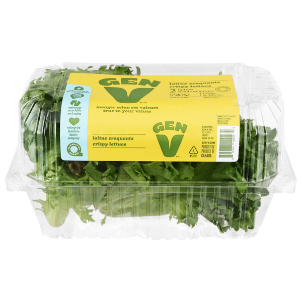 Gen V Crispy Lettuce