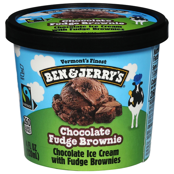 Ben & Jerry's Chocolate Fudge Brownie Ice Cream Single Serve