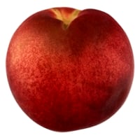 White Flesh Nectarines