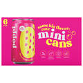 Poppi Strawberry Lemon Mini Prebiotic Soda - 6 pk