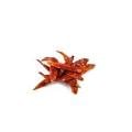Dried Japones Peppers
