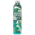 Poland Spring Aluminum Bottle Water