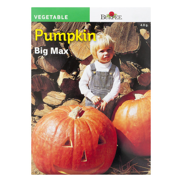 Burpee Vegetable Pumpkin Big Max