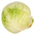 Green Cabbage