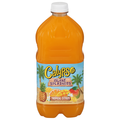Calypso Island Splashers Tropical Citrus Juice Blend
