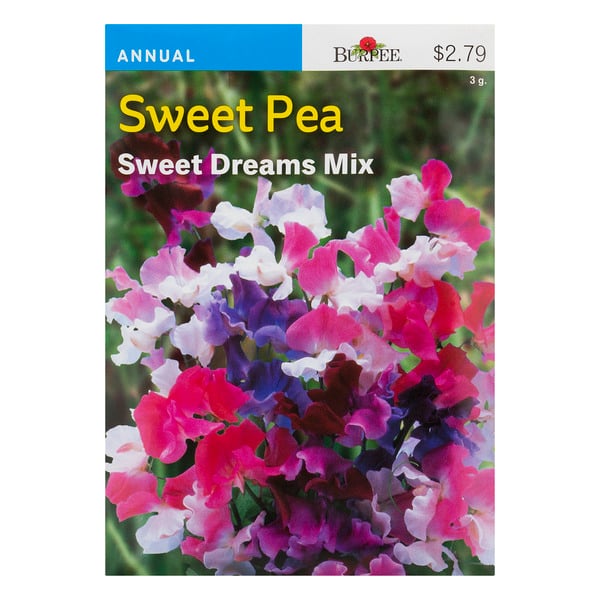 Burpee Sweet Pea Seeds Sweet Dreams Mix
