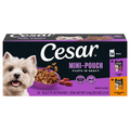 CESAR Rotisserie Chicken & Filet Mignon in Gravy Adult Wet Dog Food - 20ct