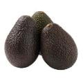 Jumbo Avocados