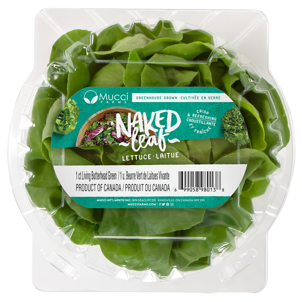 Mucci Farms Naked Leaf Butterhead Green Lettuce