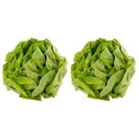 Hydroponic Lettuce