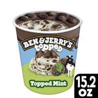 Ben & Jerry's Topped Thick Mint Ice Cream | Hannaford