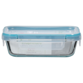 SNAPWARE Total Solution Lids Storage Container Glass Rectangle 2 Cups