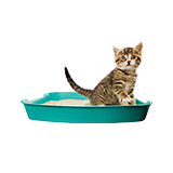 Cat Litter & Supplies