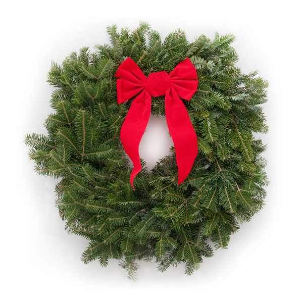 Holiday Christmas Fir Wreath with Bow 22 Inch Fresh