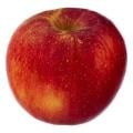 Rome Apples