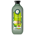Herbal Essences Avocado Oil Repair Conditioner Sulfate Free
