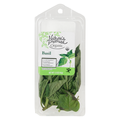 Nature's Promise Organic Basil Fresh