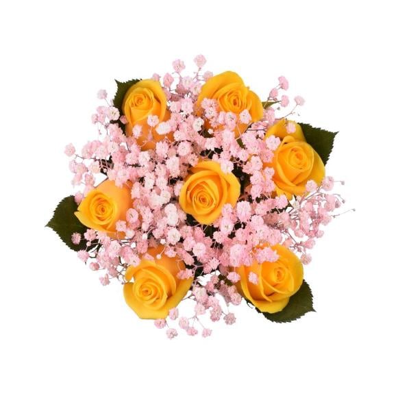 Cotton Candy Roses