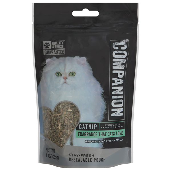 Companion Catnip