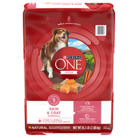 Purina ONE +Plus Skin & Coat Natural Salmon Adult Dry Dog Food