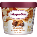 Haagen-Dazs Chocolate Peanut Butter Ice Cream Single Serve