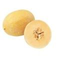 Hami Gold Melon