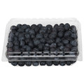 Blueberries