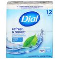 Dial Complete Spring Water Antibacterial Deodorant Soap Bar - 12 ct