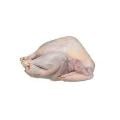 Turkey Whole Frozen (Size Varies 10-16 lbs)