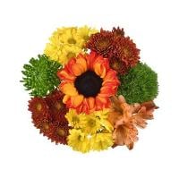 Sweet September Bouquet (Colors May Vary)