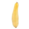Local Yellow Squash
