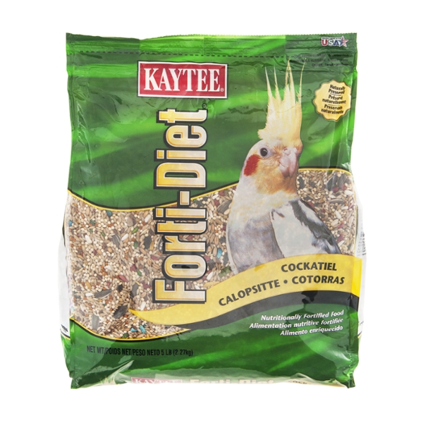 cockatiel bird online shopping